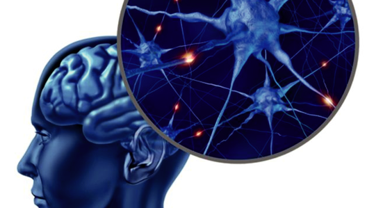 IV Neurobiologiczna Konferencja Naukowa: Neurobiologiczne uwarunkowania diagnozy i terapii
