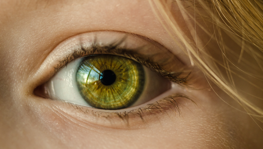 Stymulacja funkcji wzrokowych w czwartym roku życia dziecka