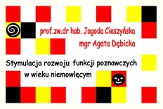 Stymulacja rozwoju funkcji poznawczych w wieku niemowlęcym [PREORDER]