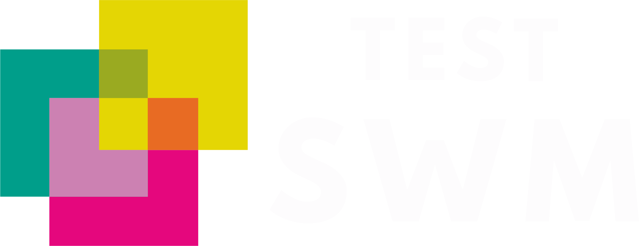 Test SWM